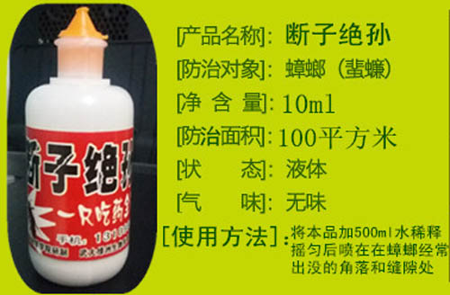 ���ӽ^�O-�����ˎ ���]