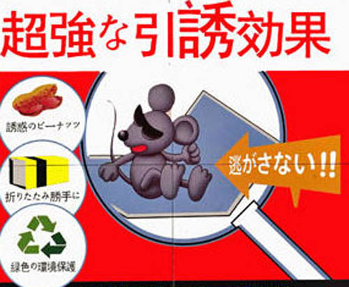 ����(qi��ng)��ճ�����]